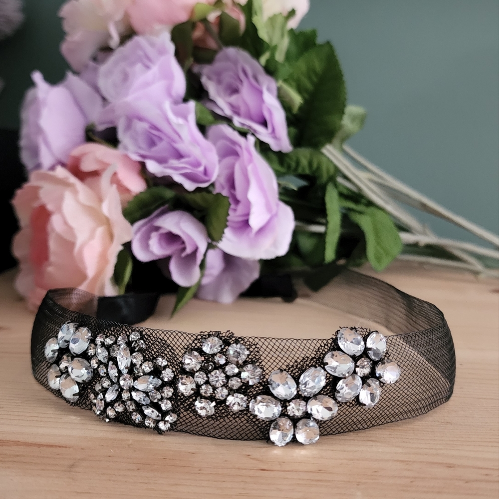 Vera Wang Crystal Black Horsehair Headband NWOT